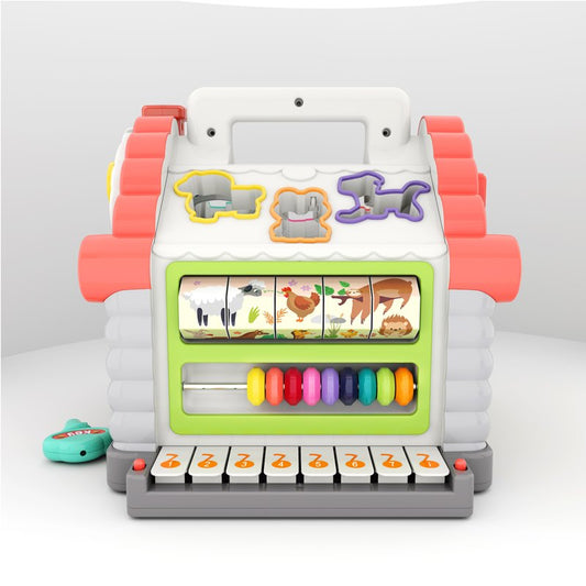 Activity House Shape Sorter