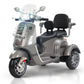 BIKE (GREY)